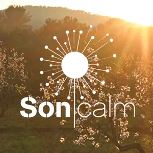 SoniCalm